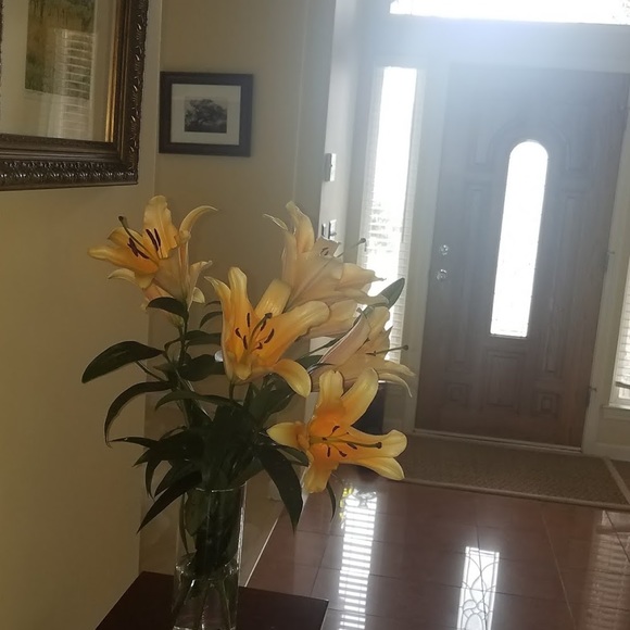 Meet your Posher, Gregoria - Picture 1 of 1